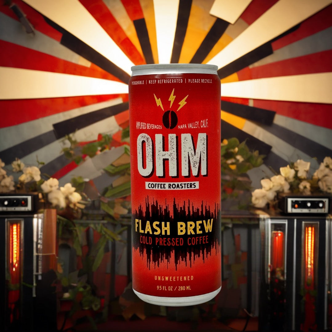 Flash Brew - Case of 12 x 9.5oz Cans