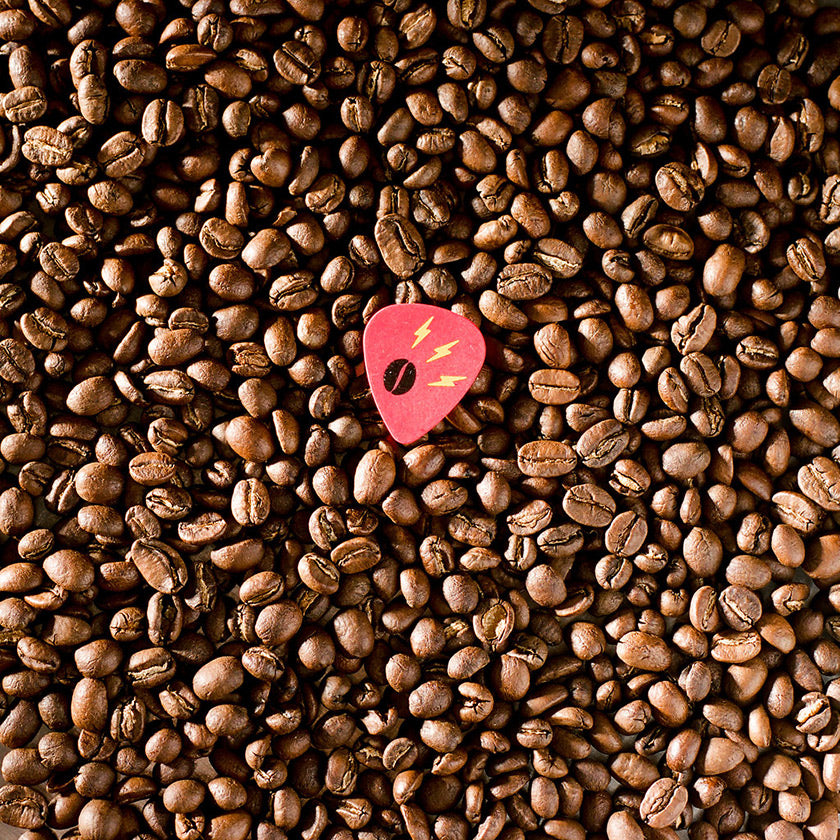 Ohm Coffee Scale by Brewista - Ohm Coffee Roasters
