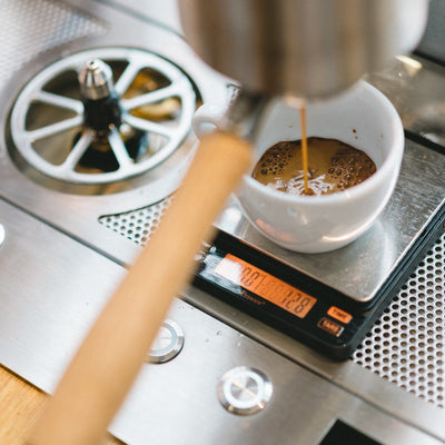 Ohm Coffee Scale by Brewista